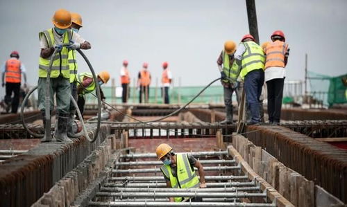 武大高速公路又有新進展,未來建成后武漢至大悟車程縮短至一小時